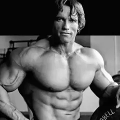 Gdzie urodził się Arnold Schwarzenegger? Zaskakujące fakty o jego życiu