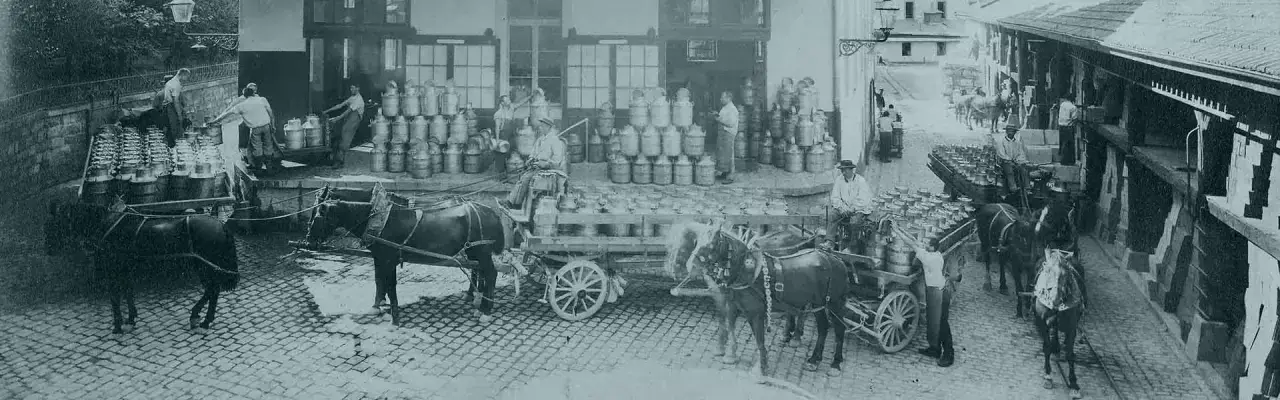 Nestlé skąd pochodzi? Odkryj fascynującą historię tej marki